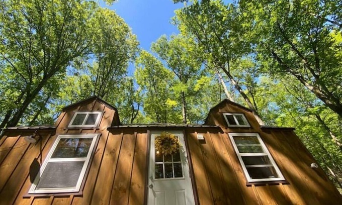 Oliverea Casa | Tiny Cat Tiny House