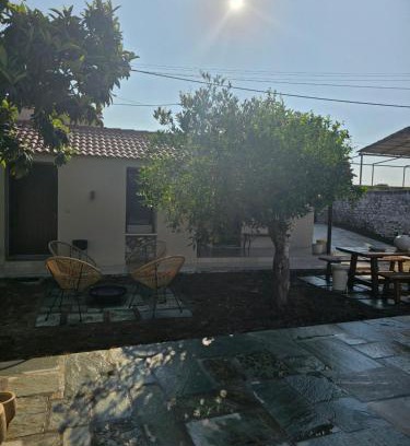 Nafpaktos Casa | Tiny Cottage lemon & pies
