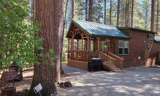 Shingletown Casa | Tiny House at Living Springs Resort Mt. Lassen