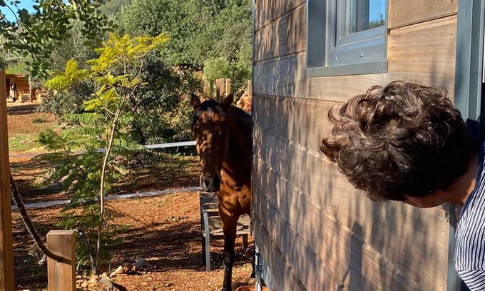 Sao Clemente Chalet De Esquí | Tiny House & Horses Alojamiento atípico en Loulé