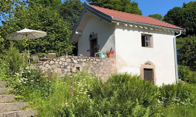 La Rosiere Cabina | Tiny House La Tourelle with natural swimming lake in a dreamlike Vosges landscape