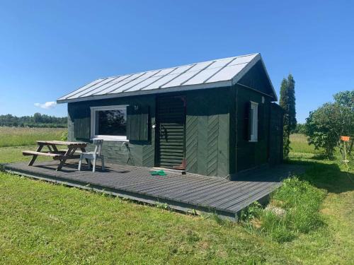 Pedvale Cabina | Tiny house Ružēni