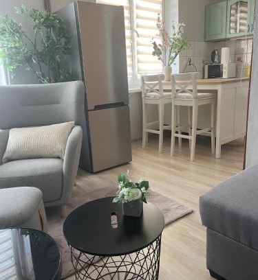 Pyskowice Apartamento | Tiny Studio Pyskowice with parking