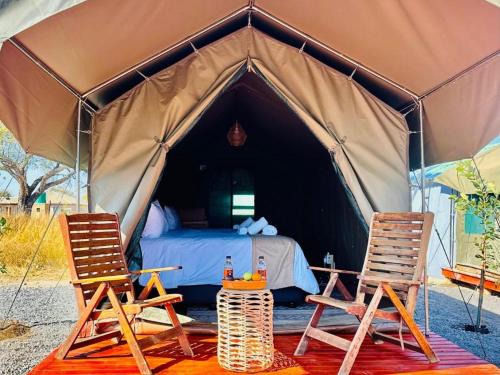 Pilanesberg National Park Otro | Tlou Tribal Lodge