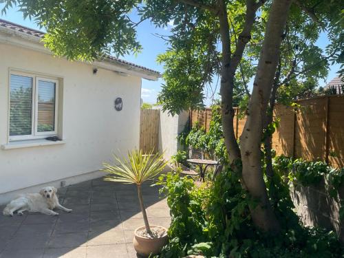 Skerries Casa | To The Beach!