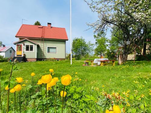 Joroinen Casa | Toivola