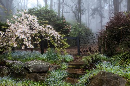 Mount Tomah Cama Y Desayuno | Tomah Retreat - Studio RELAX with fireplace