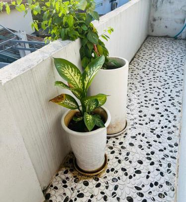 Hue Casa | Tonys House