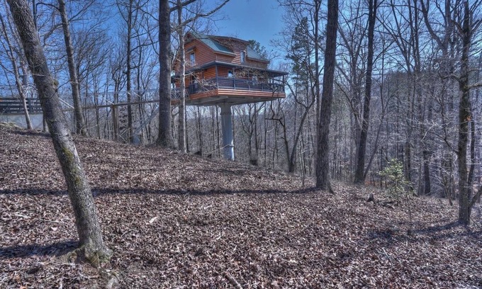 Cleveland Cabina | Top of the Line Treehouse Cabin