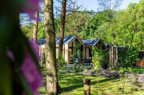 Lage Vuursche Complejo | TopParken - Résidence Lage Vuursche