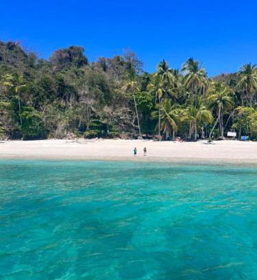 Cerro Plano Otro | Tour de Bioluminisciencia con Camping