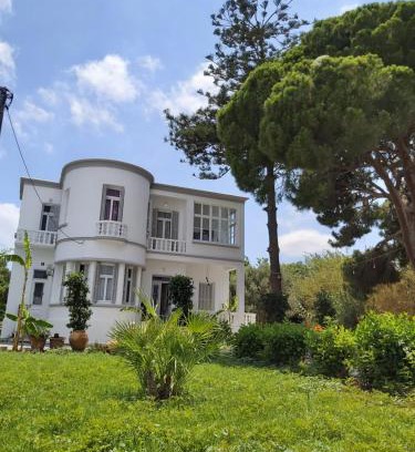 Petaloudes Casa | Tower Traditional Pool Villa