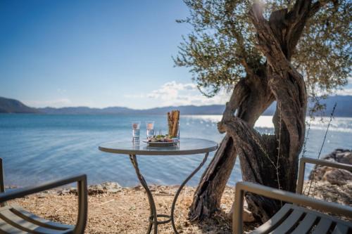 Mytilene Casa | Traditional Stone House in Seafront Olive Grove A