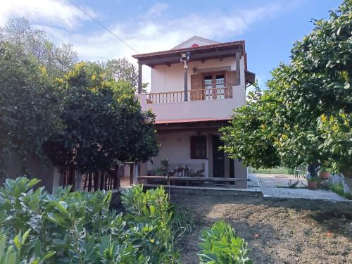 Vation Casa | Traditional Thea Home