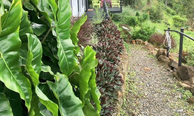 Grifo Alto Apartamento | TRANKILOVILLE: cero estrés rodeado de la naturaleza.
