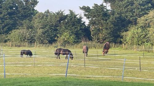 Mablethorpe Casa | Tranquil Equestrian Escape - Sleeps 2