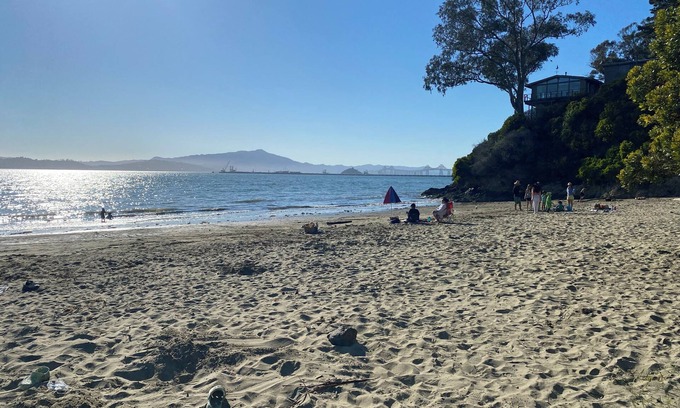 Point Richmond Casa | Tranquil Mid Century SF Gem. Beautiful Bay Views. Centrally Located. Walkable