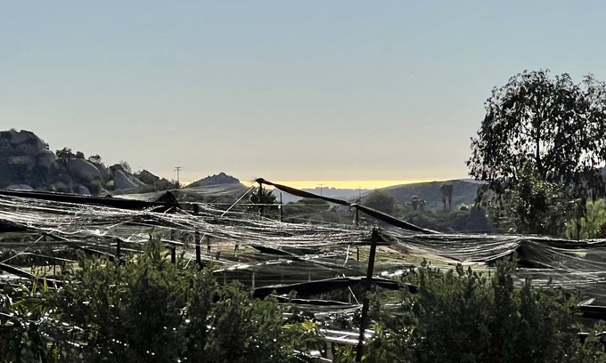 Ramona Casa | Tranquil Setting On Lush Farm & Vineyard