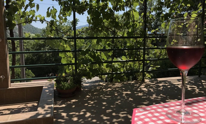 Risan Apartamento | Tranquilidad y comodidad: amplio estudio y terraza, relájese bajo el dosel de la vid.