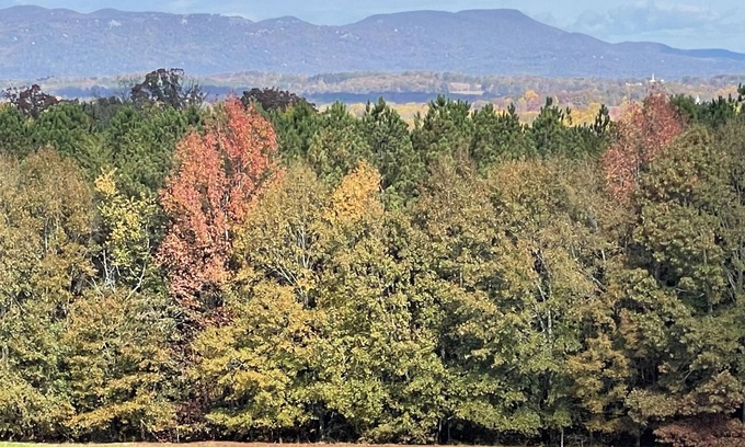 Greenville - Spartanburg Casa | Travelers Rest, Furman, Greenville, and a mountain view!