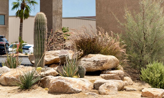 Lake Havasu City Hotel | Travelodge by Wyndham Lake Havasu
