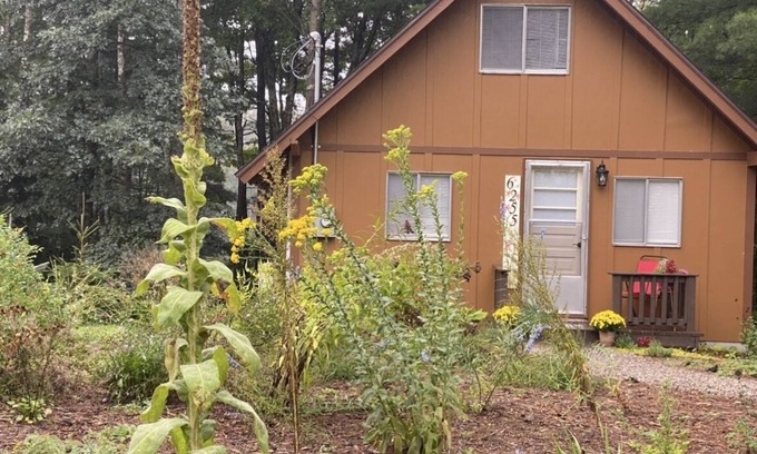 South Boardman Casa | Traverse City Area, Family Friendly, Waterfront, Modern Home