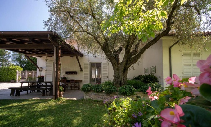 Senigallia Cama Y Desayuno | Trecentolivi B&b