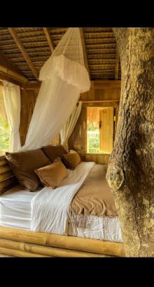 Sebatu Casa | Tree bamboo house