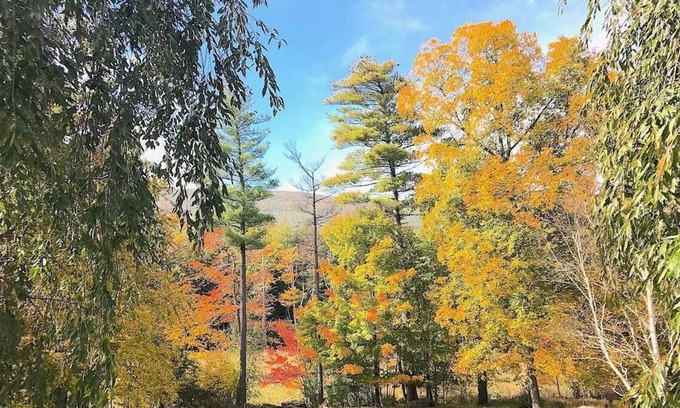 Saugerties Apartamento | Tree-House Apartment in the Catskill Mountains
