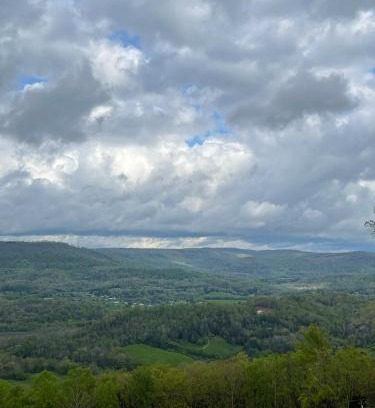Trenton Casa | Tree top View 15