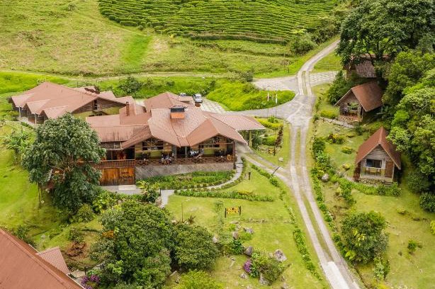 Los Naranjos Hotel | TREE TREK BOQUETE Adventure Park