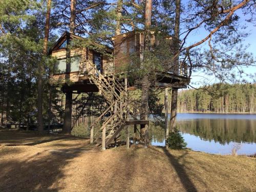 Priekuli Municipality Casa | Treehouse Čiekurs