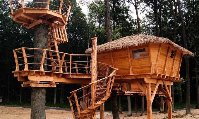 Hradec Kralove Casa | Treehouse 2 by Interhome
