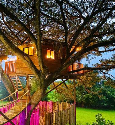 El Cerrito Casa | Treehouse