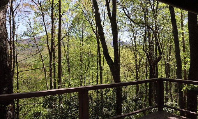 Cosby Cabina | Treehouse Glamping 1 bordering GSMNP, Off-Grid