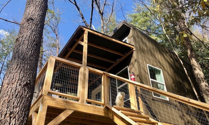 Cosby Cabina | Treehouse Glamping 3 Bordering GSMNP, Off-Grid