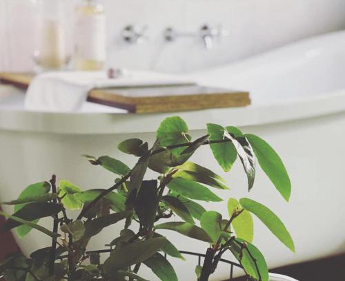 Echuca Apartamento | Treehouse Hideouts - Ground Level - Heygarth House Townhouse - Port of Echuca