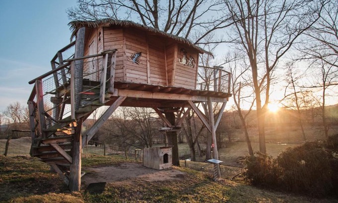 Nosetin Cabina | Treehouse Křemílek