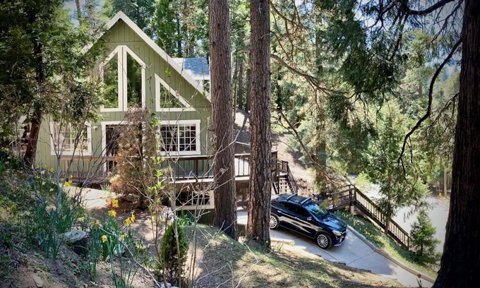 Cedar Glen Casa | Treehouse Lodge- A quiet hilltop creative retreat, minutes from the lake.