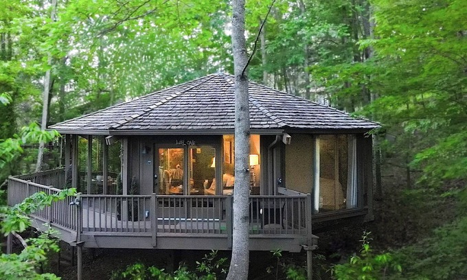 Big Canoe Cabina | Treehouse of Life - Access Community Extras like Pools, Golf, Lakes, Waterfalls & Trails