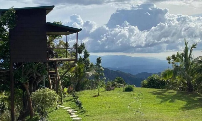 Jesús Casa | Treehouse on a Coffee Farm with Ocean View