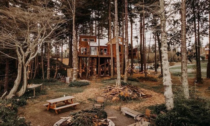 Port Angeles Casa | Treehouse on the Water -Eagles Nest-20 ft high