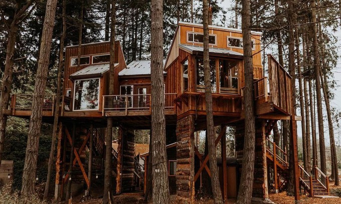 Port Angeles Casa | Treehouse on the Water -Eagles Nest-20 ft high