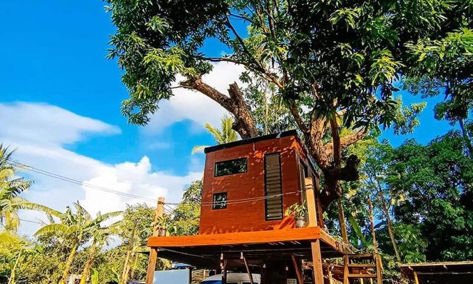 Magallanes Otro | Treehouse