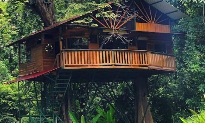 Jacó Casa | Treehouse with butterfly and exotic fruit farm