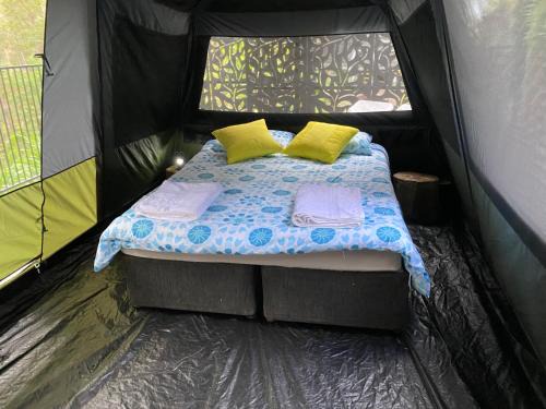 Tallebudgera Otro | Trees Rd Glamping