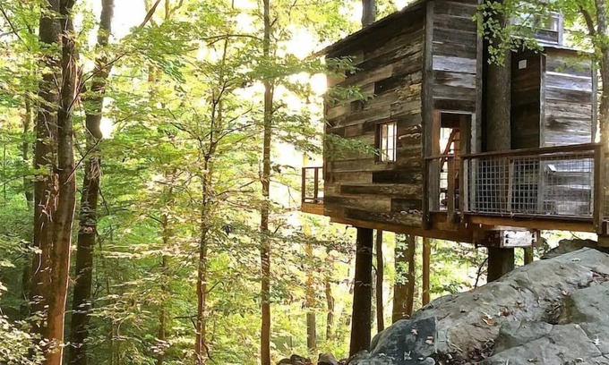Flintstone Cabina | Treetop Hideaways: Luna Loft