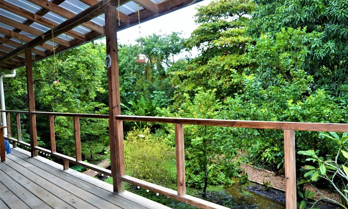 San Ignacio Casa | Tree Top Home In A Jungle Like Oasis in San Ignacio, Start Your Adventure Here