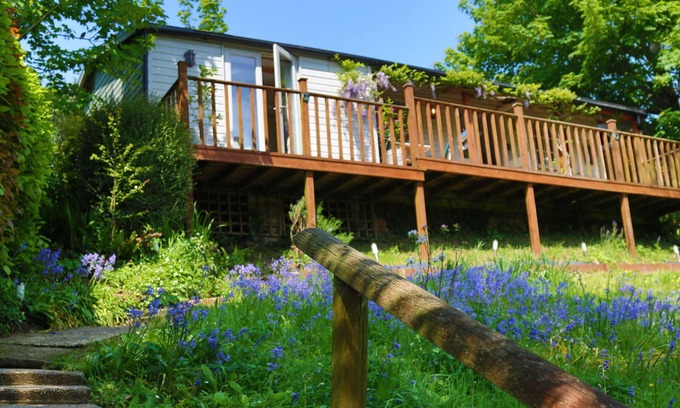 Burgh Island Cabina | Treetops, a peaceful haven retreat only 1 mile from Bantham beach in South Devon