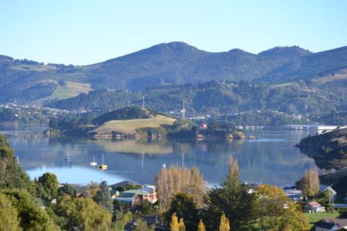 Portobello Cama Y Desayuno | Treetops B&B